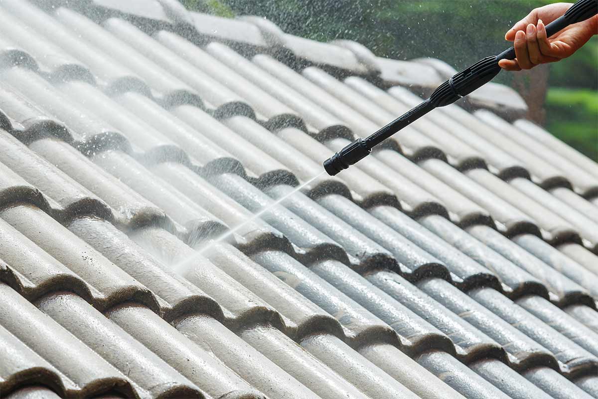 Professional Roof Washing Service 